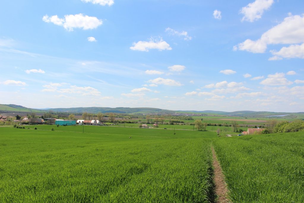 Bidang bisnis pertanian