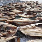 cara membuat ikan asin