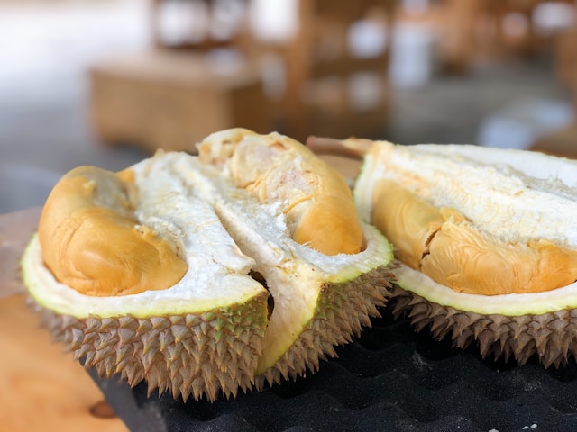 kandungan durian