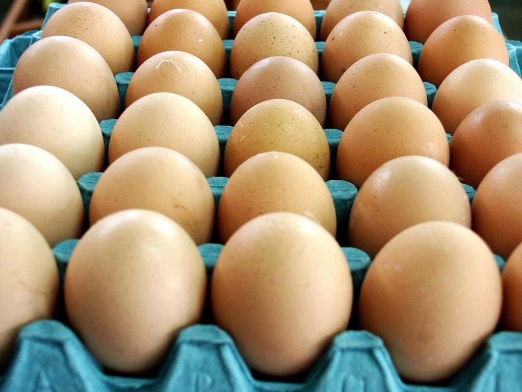 Bisnis telur ayam