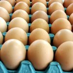 Bisnis telur ayam