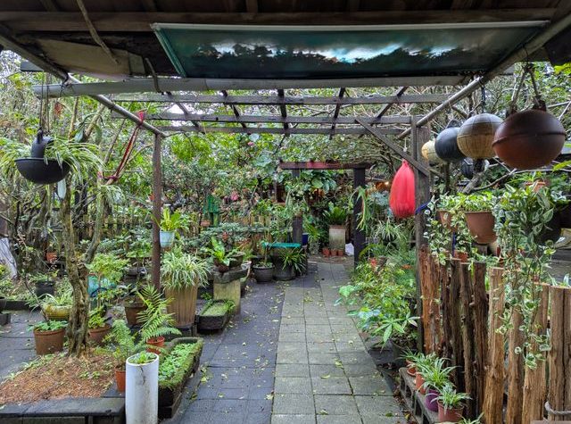 taman belakang