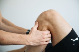 fungsi ligamen